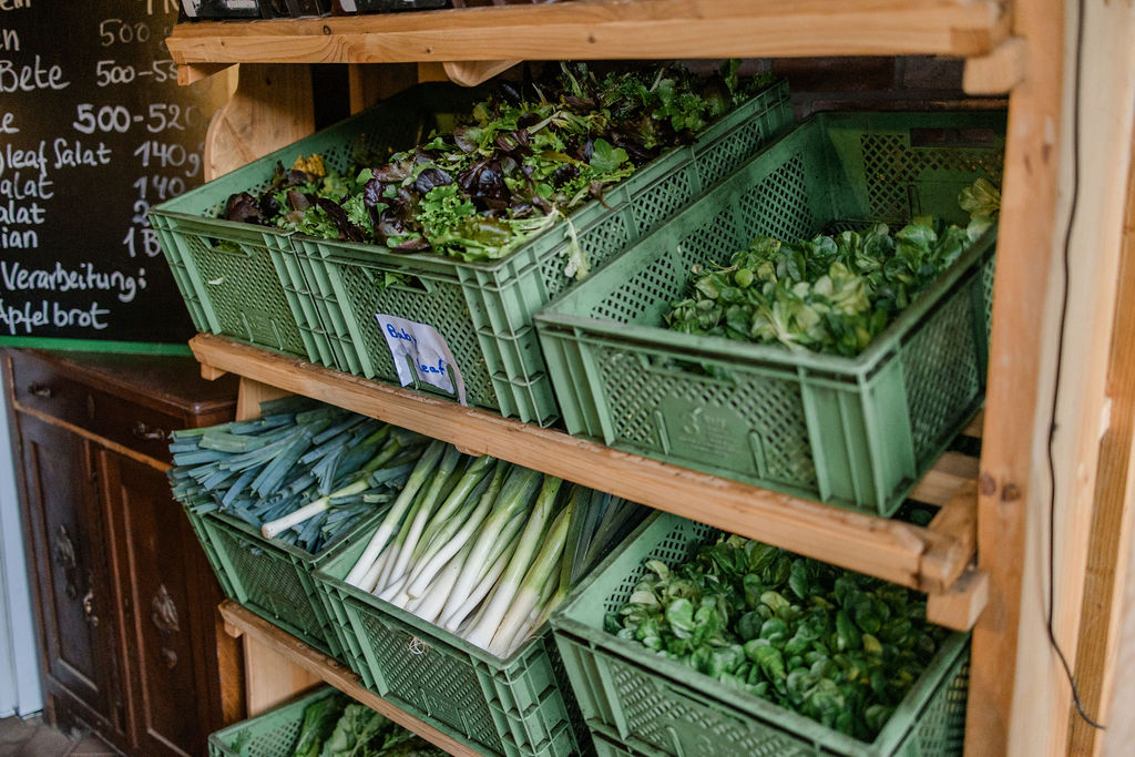 Asia-Salat in Edelstahlschüssel auf der Waage – 0,248 kg