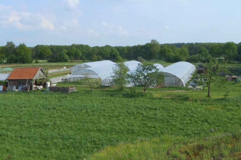 garten1