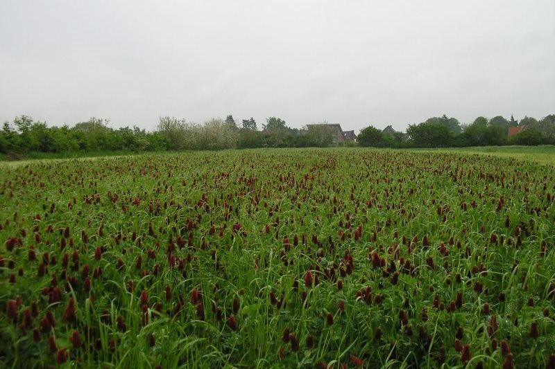 garten5
