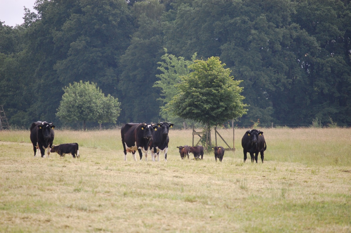 landwirtschaft