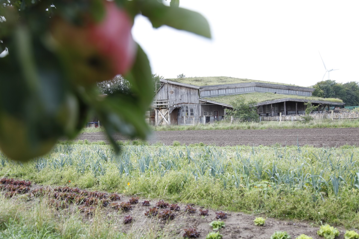 landwirtschaft