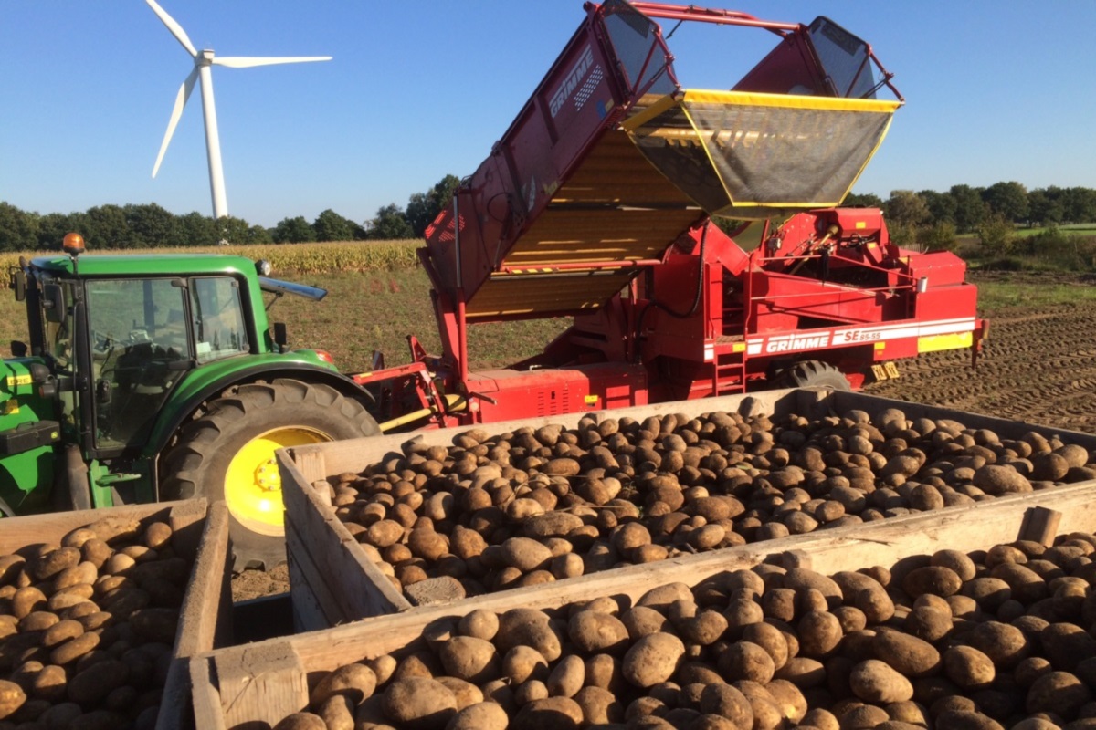 landwirtschaft